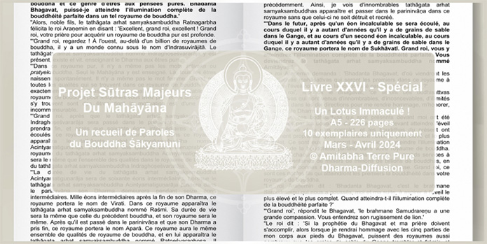 Lotus Blanc de Compassion - Amitabha Dharma Diffusion